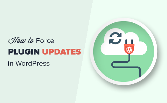 Comment forcer WordPress a verifier les mises a jour des