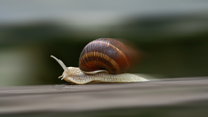 Comment installer et configurer la mise en cache WordPress avec