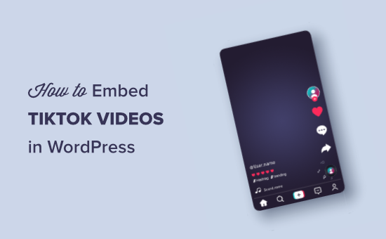 Comment integrer des videos TikTok dans WordPress