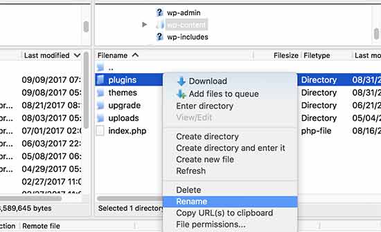 Renommer le dossier des plugins - Themelocal Renommer le dossier des plugins
