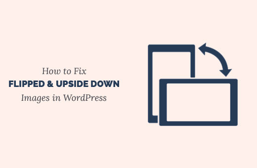 Comment reparer les images a lenvers ou retournees dans WordPress