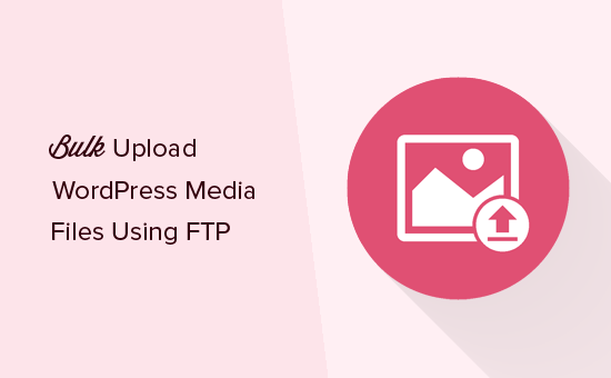 Comment telecharger en masse des fichiers multimedias WordPress a laide