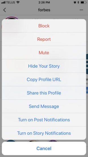 instagram muet
