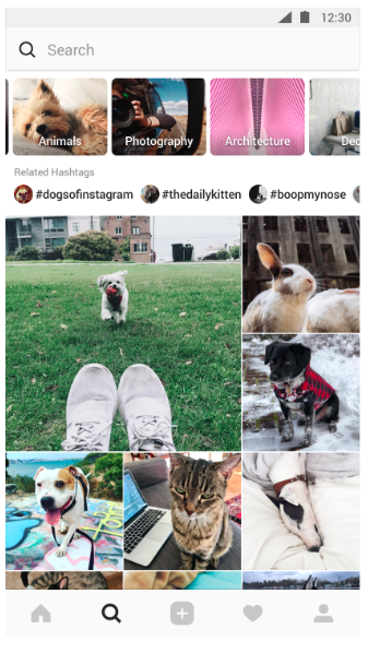 Predictions Instagram pour 2018 et au dela