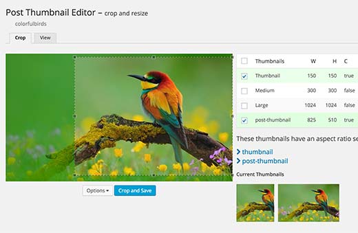 1642005616 674 Comment recadrer et editer les miniatures des articles WordPress