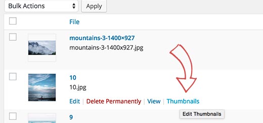 Modification des vignettes pour les anciennes images dans la médiathèque WordPress Modification des vignettes pour les anciennes images dans la médiathèque WordPress