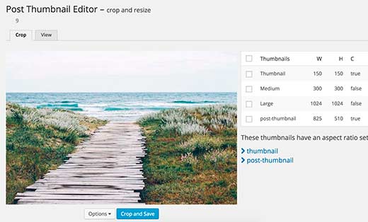 Modification des vignettes pour une image plus ancienne Modification des vignettes pour une image plus ancienne