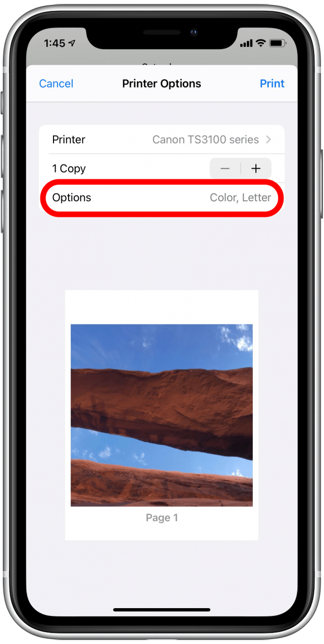 Appuyez sur Options pour voir les options de modification des paramètres d'impression