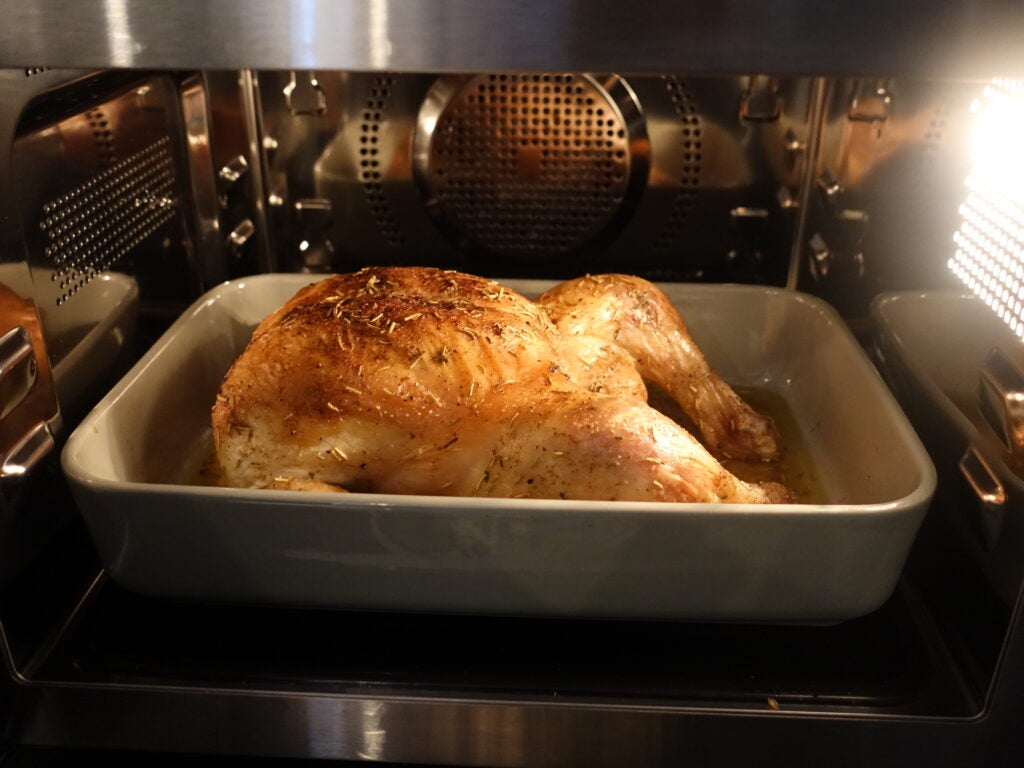 Poulet pointu YC-GC52FU-B