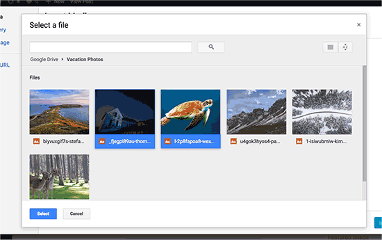 Sélectionnez les fichiers que vous souhaitez importer depuis Google Drive Sélectionnez les fichiers que vous souhaitez importer depuis Google Drive