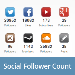 1643313408 Comment afficher les abonnes aux reseaux sociaux comme du