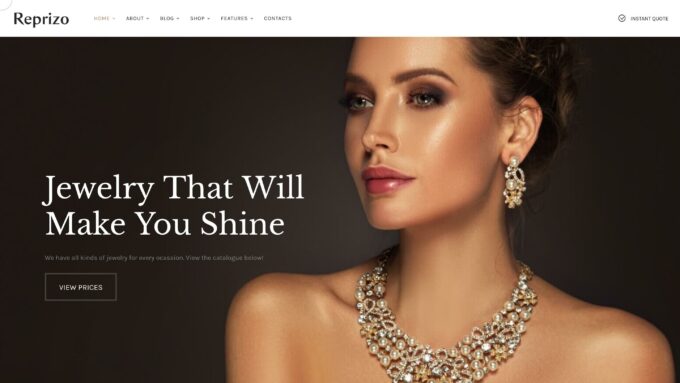 1643422615 423 10 meilleurs themes WordPress de luxe 2022