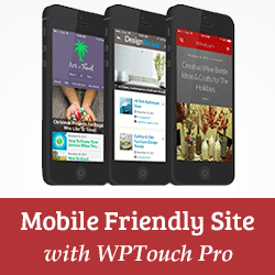 1643425233 Rendre votre WordPress compatible avec les mobiles avec WPtouch Pro