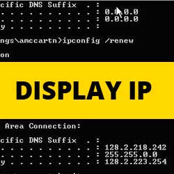 Comment afficher ladresse IP dun utilisateur dans WordPress