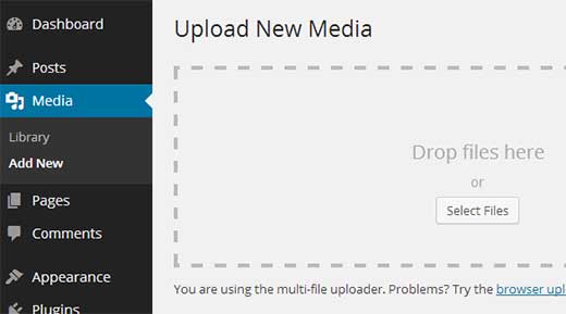Télécharger des icônes de réseaux sociaux dans la médiathèque WordPress Télécharger des icônes de réseaux sociaux dans la médiathèque WordPress