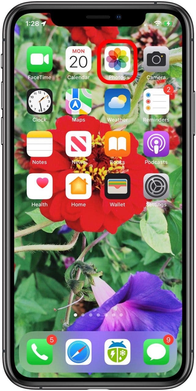 application photos iphone