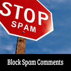 Comment reduire le spam de commentaires WordPress avec des cookies