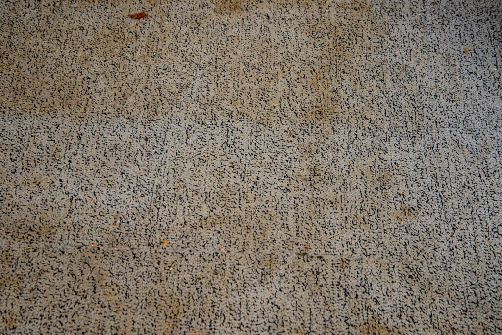 Dalle de moquette sale Bissell PowerClean 2X
