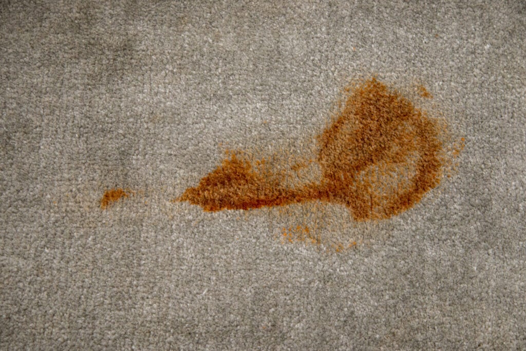 Tache de ketchup sale Bissell PowerClean 2X