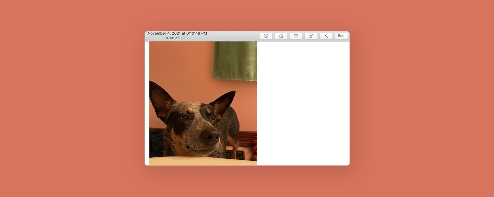 1645080998 Comment mettre un filtre sur une photo ou une video