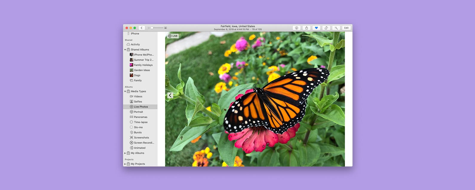 1645118185 Comment dupliquer une photo ou une video sur Mac mise