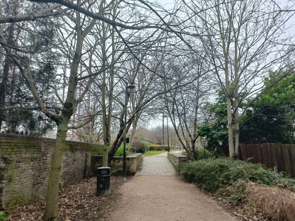 Image prise par la caméra principale OnePlus Nord CE 2 5G, montrant un chemin boisé