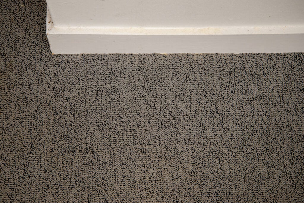 Bord de l'aspirateur sans fil Beko Smart PowerClean Pro VRT95929VI après le nettoyage final