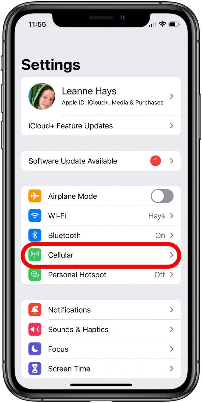 paramètres de données cellulaires iphone