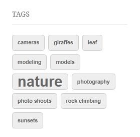 wordpress-tag-clouds Balises WordPress