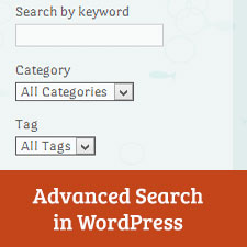 Comment ajouter une boite de recherche avancee dans WordPress en