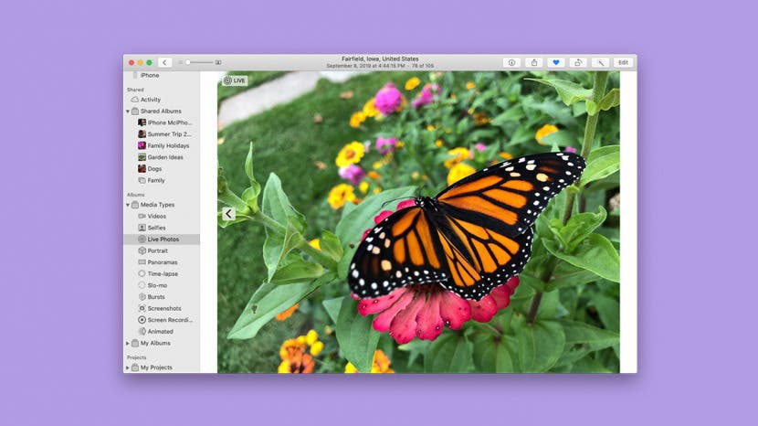 Comment dupliquer une photo ou une video sur Mac mise