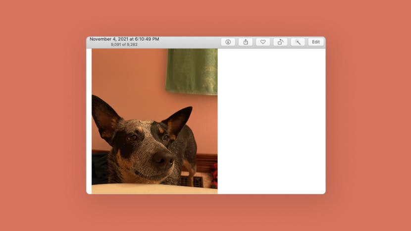 Comment mettre un filtre sur une photo ou une video