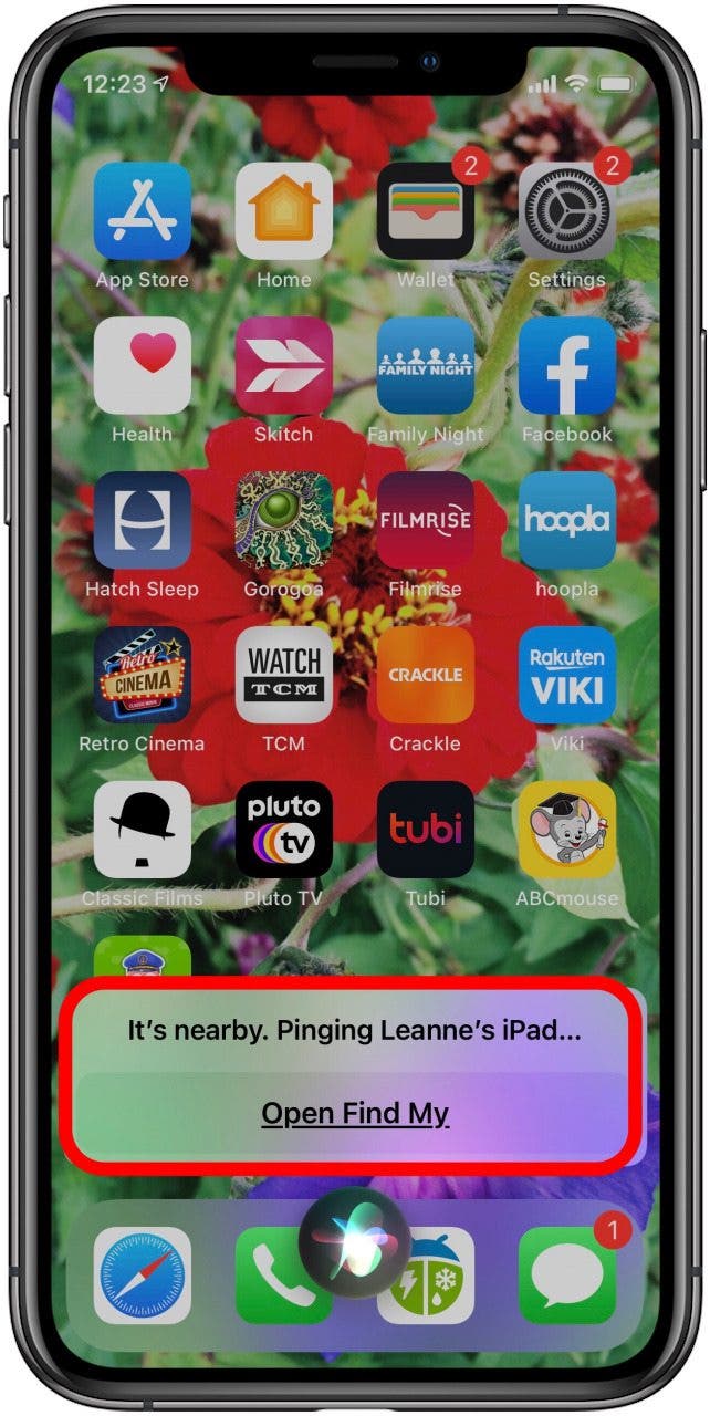 iphone ping ipad