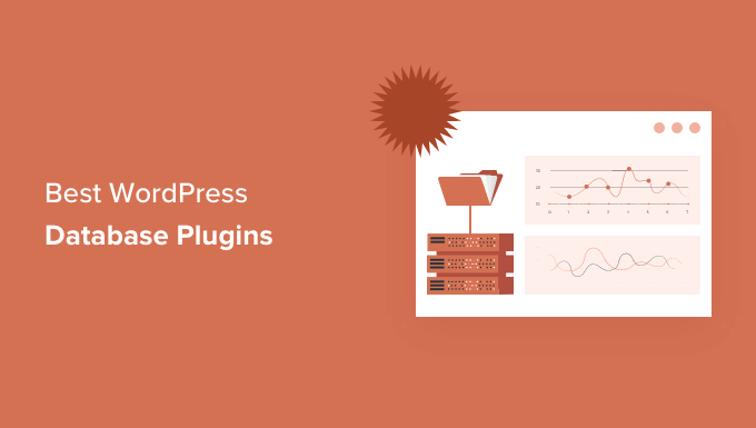 12 meilleurs plugins de base de donnees WordPress %E2%80%93