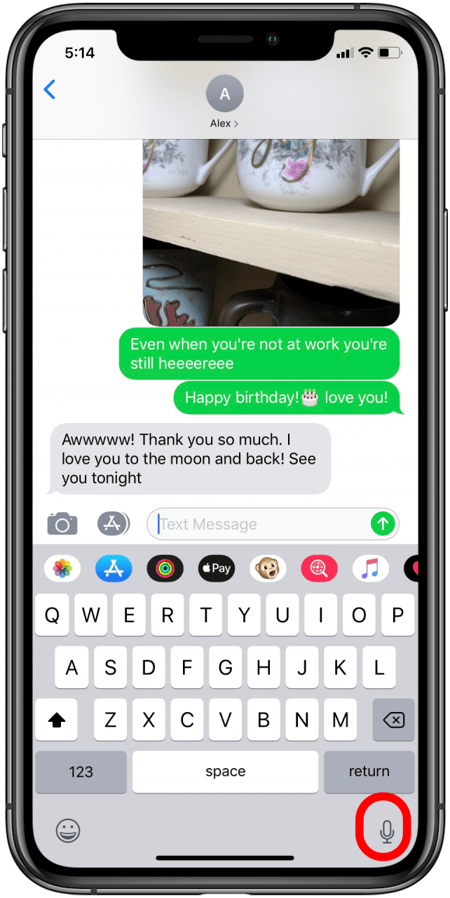 1647176167 233 Dictee iPhone dans iOS 15 Comment utiliser les SMS mains