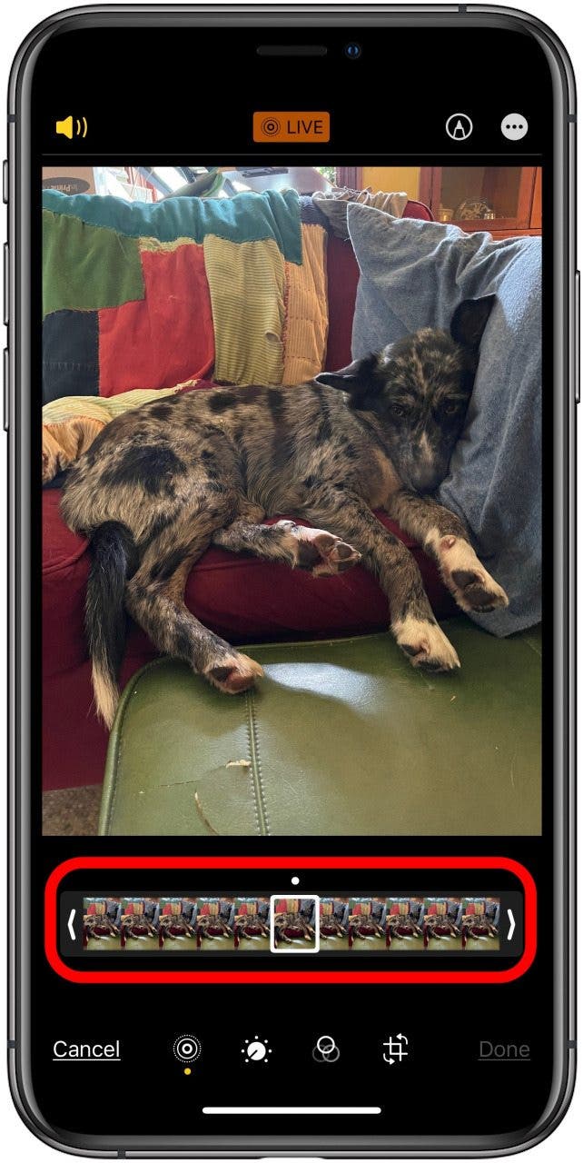sélectionnez une image de la photo en direct à utiliser comme image fixe