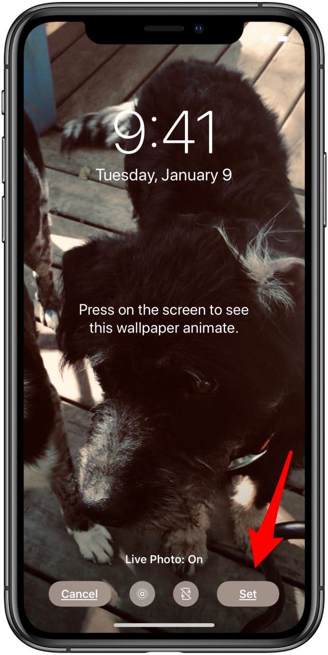 appuyez sur définir pour définir la photo en direct comme fond d'écran