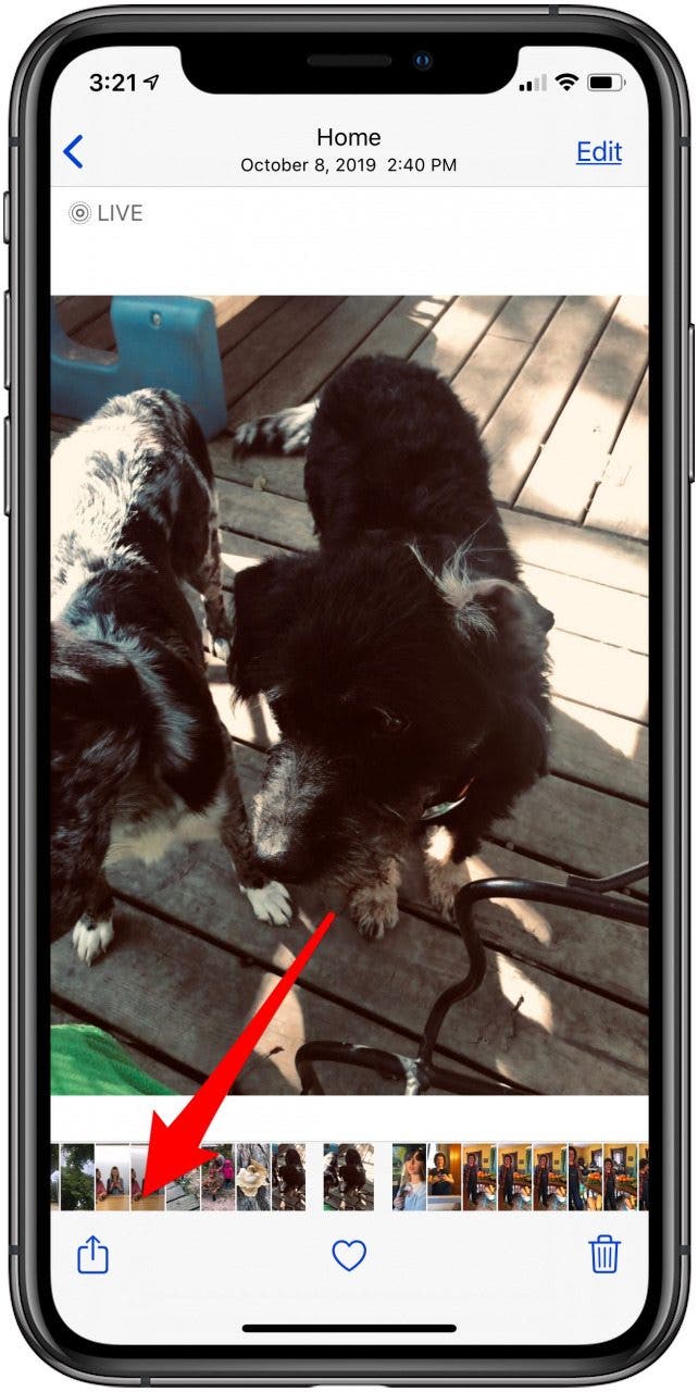 icône de partage iphone