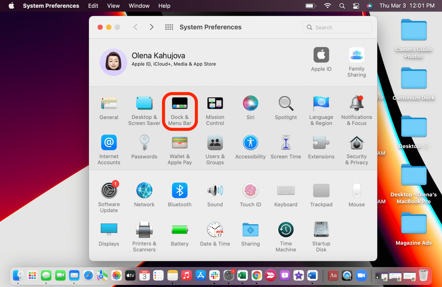 Cliquez sur Dock et barre de menus.