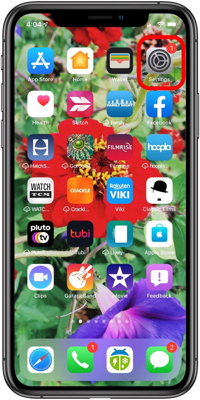 application de paramètres iphone