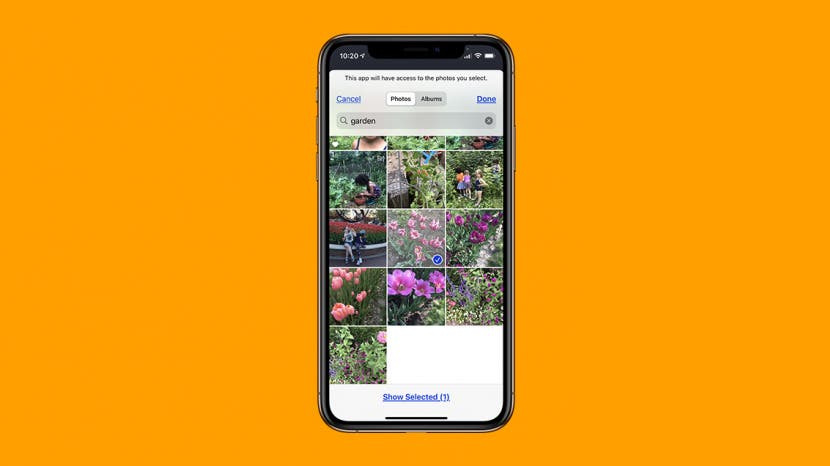 Comment ajouter et modifier des arriere plans de zoom photo et