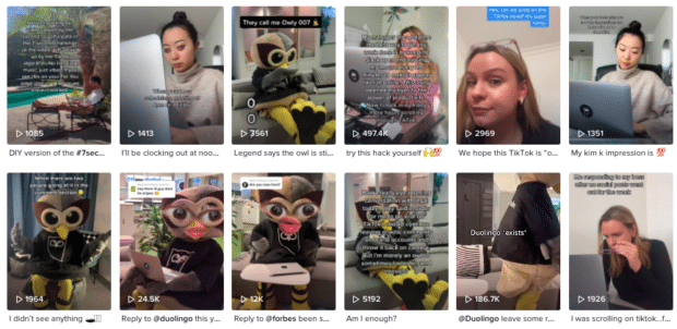 aper&ccedil;u des vid&eacute;os TikTok dont Owly