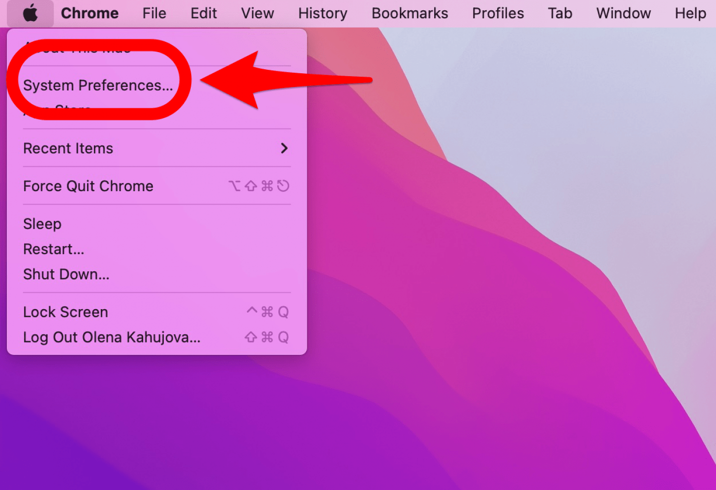 Ouvrir les Préférences Système - comment sauvegarder un macbook pro, comment sauvegarder un macbook air