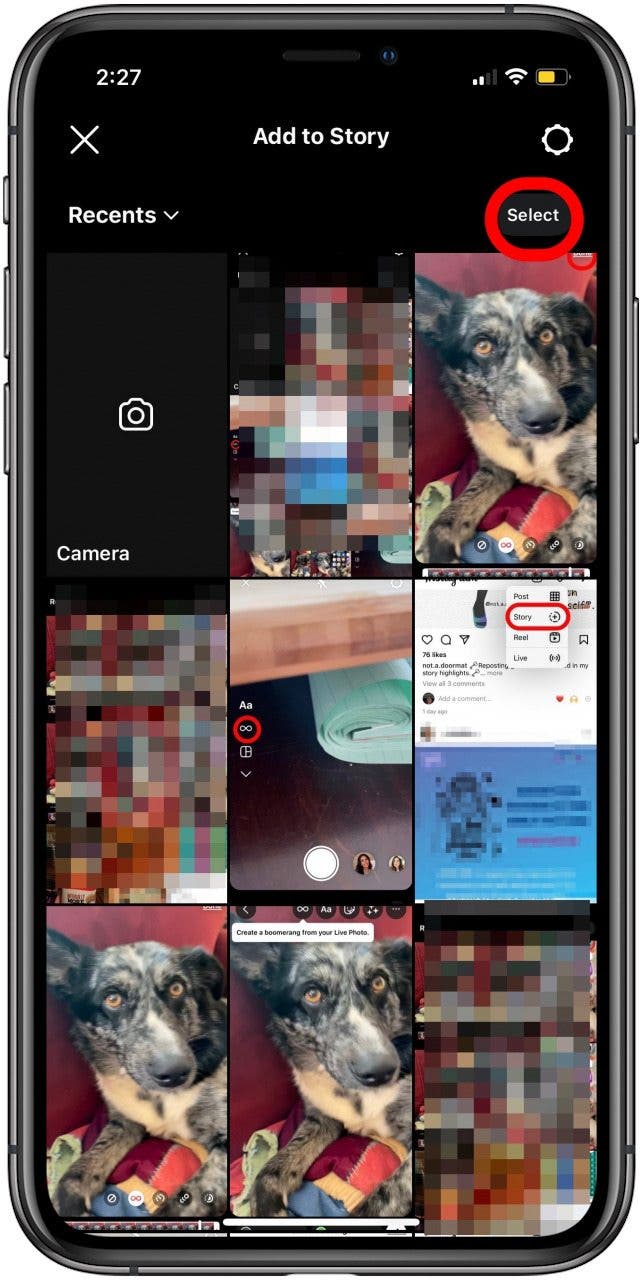 appuyez sur sélectionner pour choisir la photo en direct à publier sur instagram