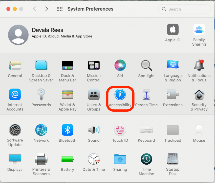 Cliquez sur Accessibilité pour trouver les paramètres du curseur Mac.