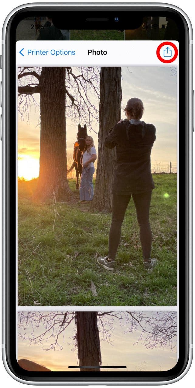 partager une image au format PDF