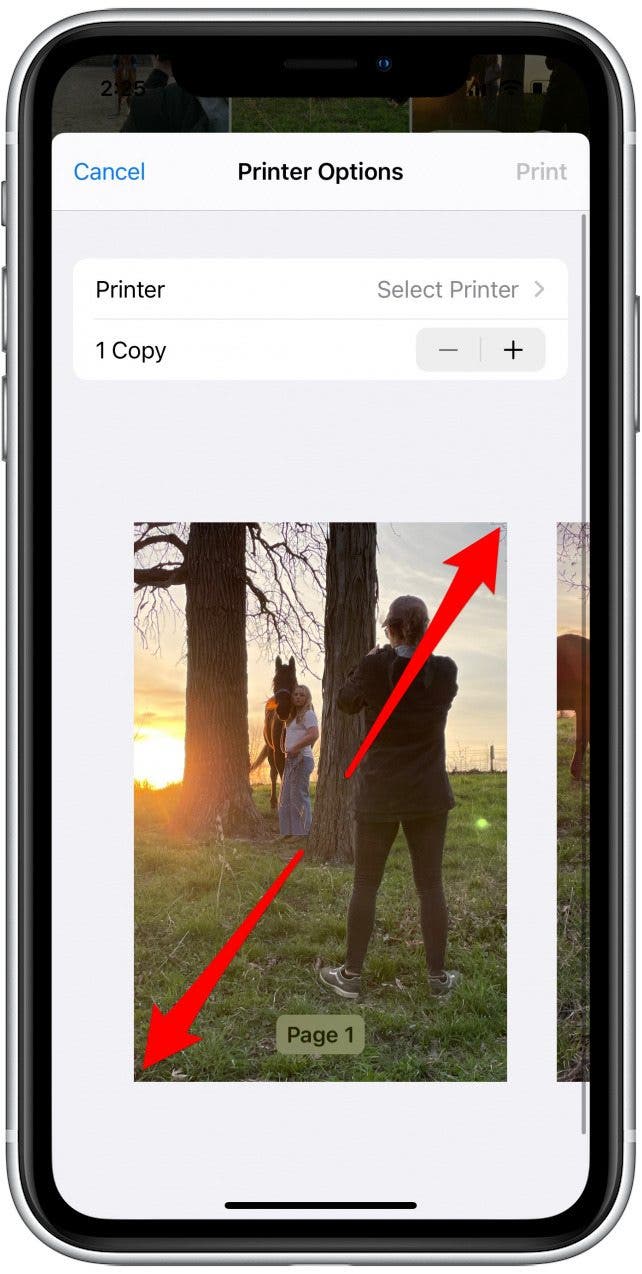 zoomer l'image pour convertir l'image en PDF
