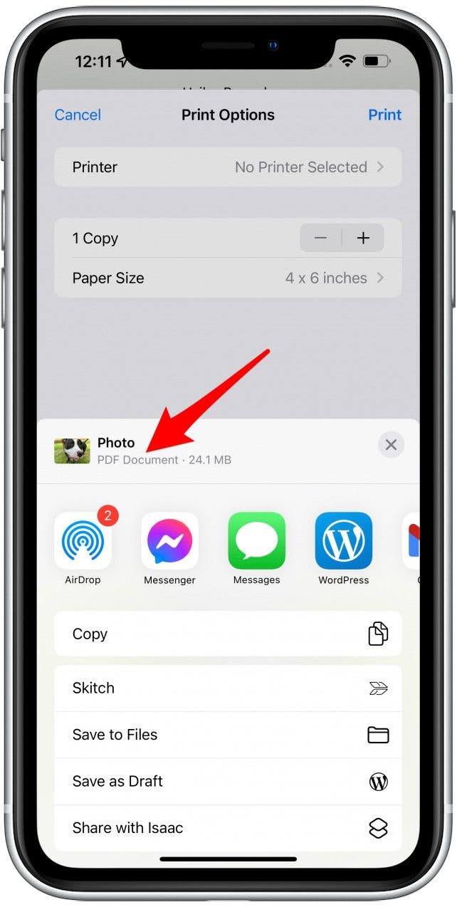 Vous verrez que le fichier est maintenant un document PDF.