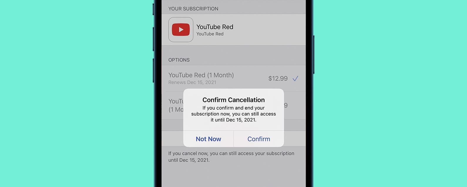 1650654488 Comment rechercher gerer et annuler des abonnements sur iPhone mise