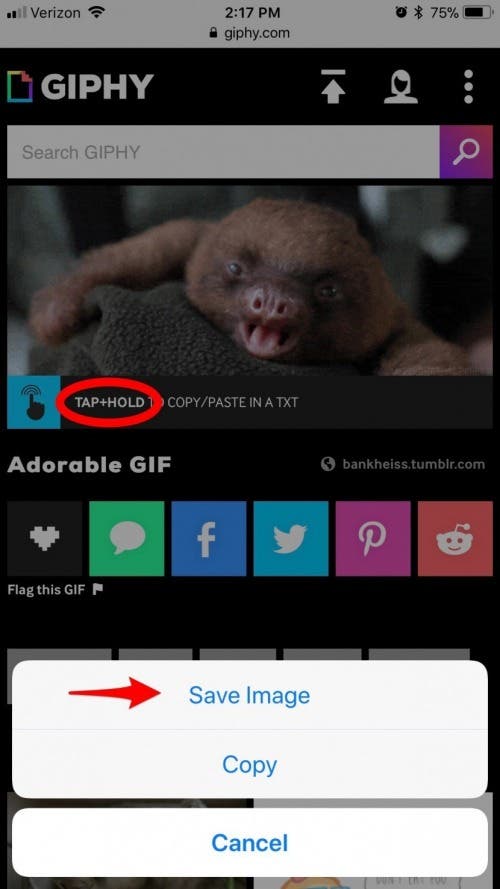 1651098244 221 Comment telecharger et enregistrer des GIF sur iPhone MIS A